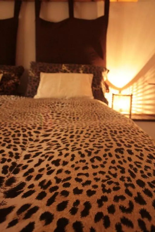 B&B Big Fish E Aba Maya Αλγκέρο